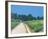 Richmond Park-Isabel Hutchison-Framed Giclee Print