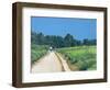 Richmond Park-Isabel Hutchison-Framed Giclee Print