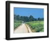 Richmond Park-Isabel Hutchison-Framed Giclee Print