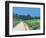 Richmond Park-Isabel Hutchison-Framed Giclee Print