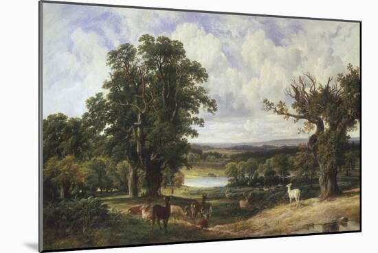 Richmond Park-John F. Tennant-Mounted Giclee Print