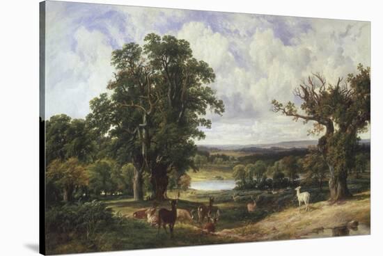 Richmond Park-John F. Tennant-Stretched Canvas