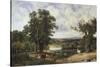 Richmond Park-John F. Tennant-Stretched Canvas