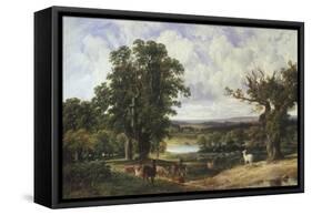 Richmond Park-John F. Tennant-Framed Stretched Canvas