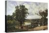 Richmond Park-John F. Tennant-Stretched Canvas