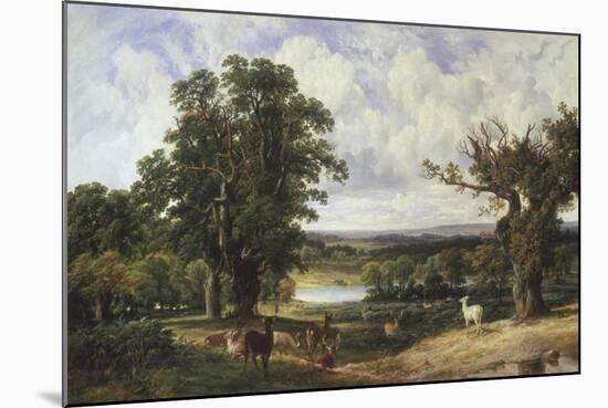 Richmond Park-John F. Tennant-Mounted Giclee Print