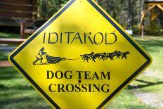 Close-up of an Iditarod Crossing Sign, Alaska-Rick Daley-Framed Photographic Print