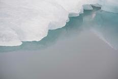 Close-up of an Iditarod Crossing Sign, Alaska-Rick Daley-Photographic Print