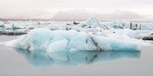 Beautiful Glaciers Drop into the Ocean in Kenai Fjords NP, Alaska-Rick Daley-Framed Photographic Print