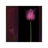 Red Tulip I-Rick Filler-Giclee Print