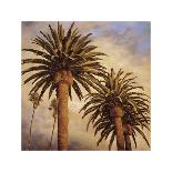 Fog over Canary Palms-Rick Garcia-Stretched Canvas