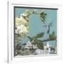 Gramercy White