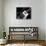 Rickenbacker 4001-null-Mounted Art Print displayed on a wall