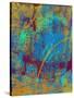 Stretched Canvas