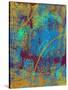 Stretched Canvas