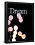 Essential Black