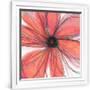 Gramercy White