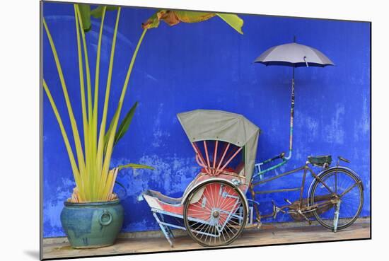 Rickshaw in Cheong Fatt Tze Mansion, Georgetown, Penang Island, Malaysia, Southeast Asia, Asia-Richard Cummins-Mounted Photographic Print