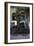 Rickshaw on the Street, Kolkata (Calcutta), West Bengal, India, Asia-Bruno Morandi-Framed Photographic Print