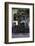 Rickshaw on the Street, Kolkata (Calcutta), West Bengal, India, Asia-Bruno Morandi-Framed Photographic Print