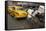 Rickshaw on the Street, Kolkata, West Bengal, India, Asia-Bruno Morandi-Framed Stretched Canvas