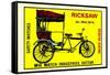 Rickshaw-null-Framed Stretched Canvas