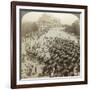 Rickshaws before Christ Church, Simla, India, June 1902-Underwood & Underwood-Framed Photographic Print