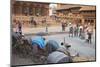 Rickshaws in Durbar Square, UNESCO World Heritage Site, Kathmandu, Nepal, Asia-Ian Trower-Mounted Photographic Print