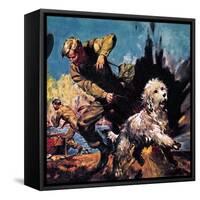 Ricky, Dog-O'-War-McConnell-Framed Stretched Canvas