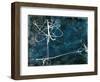 Ricochet-Kari Taylor-Framed Premium Giclee Print