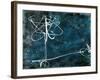 Ricochet-Kari Taylor-Framed Giclee Print