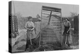 Riddling Cinders, War Office Photographs, 1916 (B/W Photo)-English Photographer-Stretched Canvas