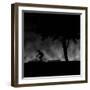 Ride into Night-Sharon Wish-Framed Photographic Print