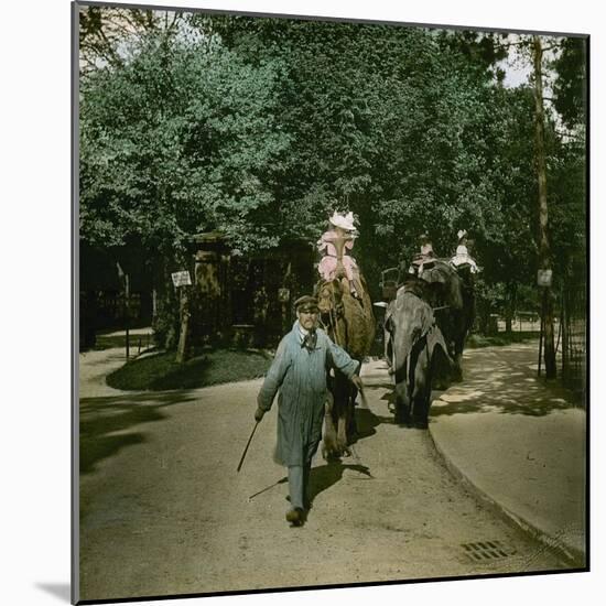 Ride on a Elephant and on a Camel, at the Jardin of Acclimatation, Paris (XVIth Arrondissement)-Leon, Levy et Fils-Mounted Photographic Print