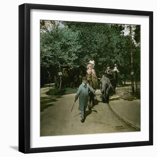 Ride on a Elephant and on a Camel, at the Jardin of Acclimatation, Paris (XVIth Arrondissement)-Leon, Levy et Fils-Framed Premium Photographic Print