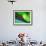 Ride the Green Wave-Ursula Abresch-Framed Photographic Print displayed on a wall