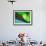 Ride the Green Wave-Ursula Abresch-Framed Photographic Print displayed on a wall