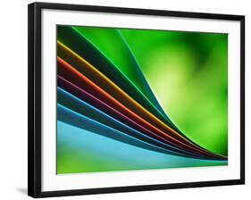 Ride the Green Wave-Ursula Abresch-Framed Photographic Print