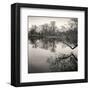 Rideau River, Study #1-Andrew Ren-Framed Art Print