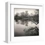 Rideau River, Study #1-Andrew Ren-Framed Art Print