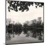 Rideau River, Study #2-Andrew Ren-Mounted Art Print