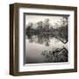 Rideau River, Study, no. 1-Andrew Ren-Framed Giclee Print