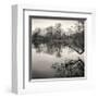 Rideau River, Study, no. 1-Andrew Ren-Framed Giclee Print