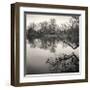 Rideau River, Study, no. 1-Andrew Ren-Framed Giclee Print