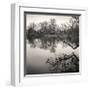 Rideau River, Study, no. 1-Andrew Ren-Framed Giclee Print