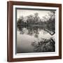 Rideau River, Study, no. 1-Andrew Ren-Framed Giclee Print