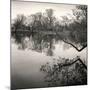 Rideau River, Study, no. 1-Andrew Ren-Mounted Giclee Print