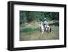 Rider at Bishop's Lodge in Santa Fe, New Mexico, USA-null-Framed Art Print