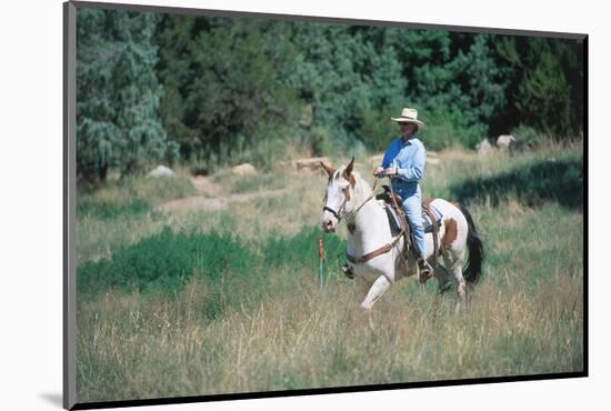 Rider at Bishop's Lodge in Santa Fe, New Mexico, USA-null-Mounted Art Print