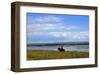 Rider in the Braderup heathland, Wenningstedt, Sylt, Schleswig Holstein, Germany-null-Framed Art Print